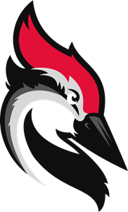 Woodpecker logo